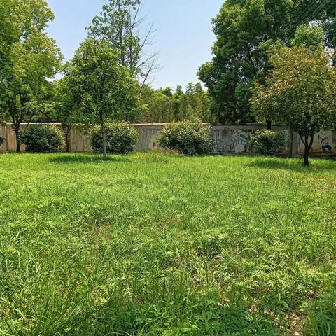 春夏、醉美石坪