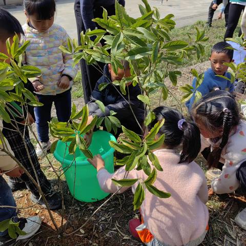 种下希望，迈向绿色未来——【众埠镇石坪小学】开展植树节活动