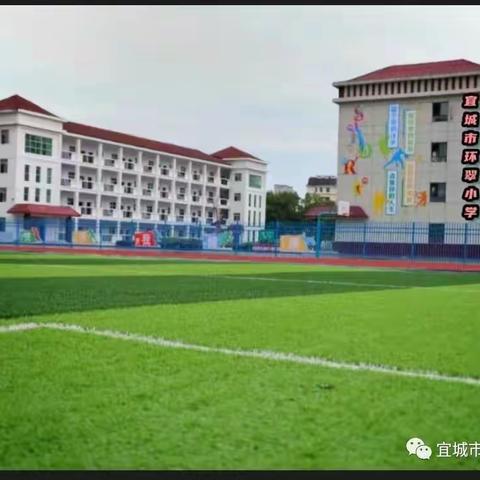 “新教师，新风采，新能量”——2023年春季环翠小学新教师入门课分享会