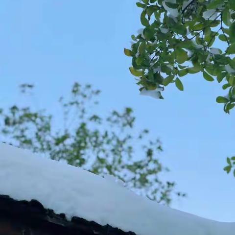 再见2018，你好2019！