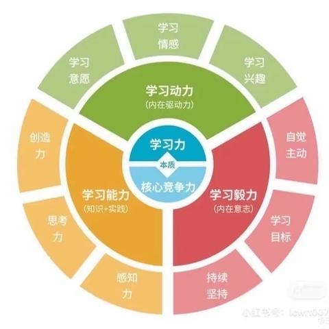 学习力  游戏活动（二）