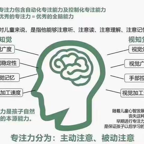 学习力 游戏活动（四）