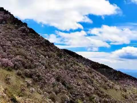 误入轿子雪山