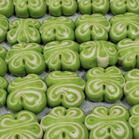 生物作业