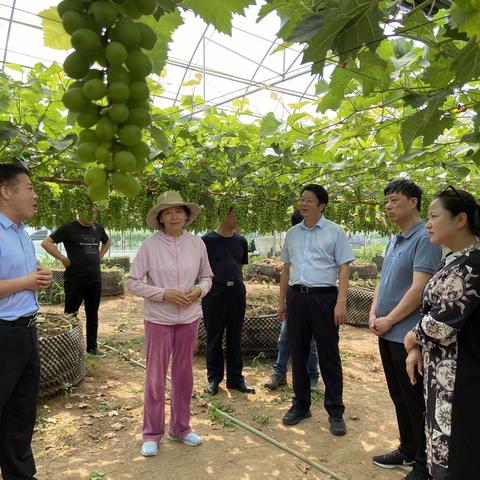 陕西省暖通空调与制冷行业协会党支部赴礼泉县骏马镇开展扶贫捐赠活动助力脱贫攻坚