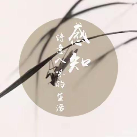 日有所诵，温润心灵，永小四（2）寒假朗诵不断