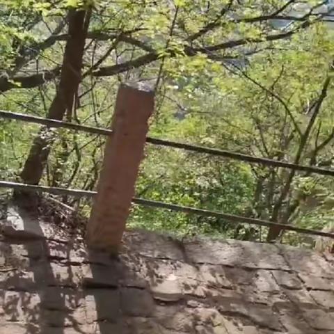 【附中学子这样过五一】挥洒青春，拥抱自然—忻州师范学院附属中学初一9班杨舒然2023年五一假期实践