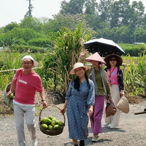 2022年4月6日江高镇周家庄体验农家乐之一