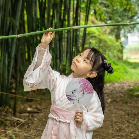 重访增城《探云.田居》（2022年12月11日-12日）（一）