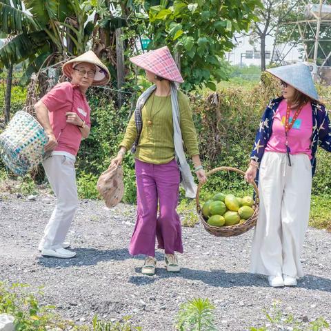 2022年4月6日江高镇周家庄体验农家乐之四