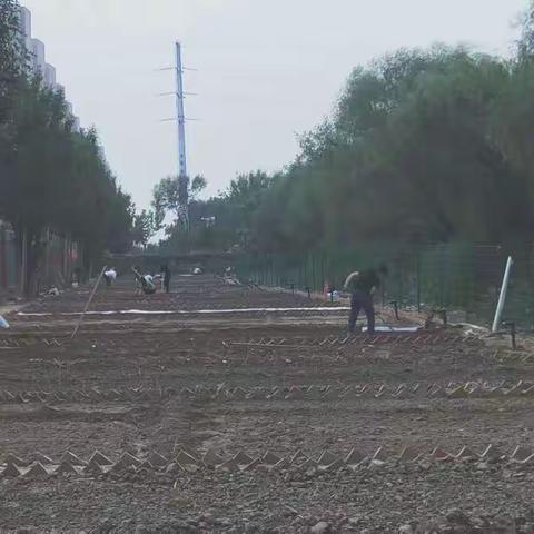 开展劳动实践 奠定成长基石——金山路小学劳动实践活动纪实