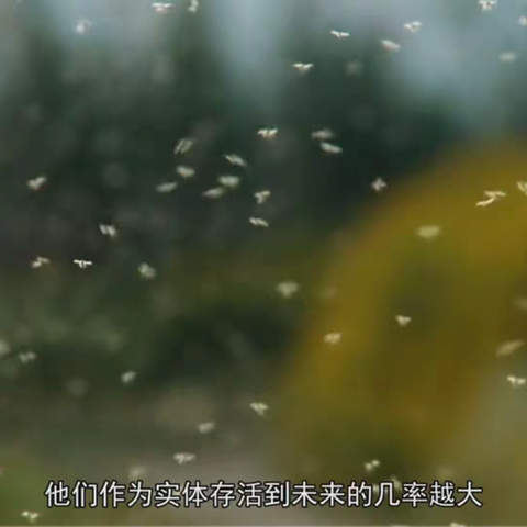 《病毒猎人》：阻止下一次爆发（叶子）