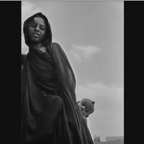 塞巴斯蒂昂·萨尔加多作品之二