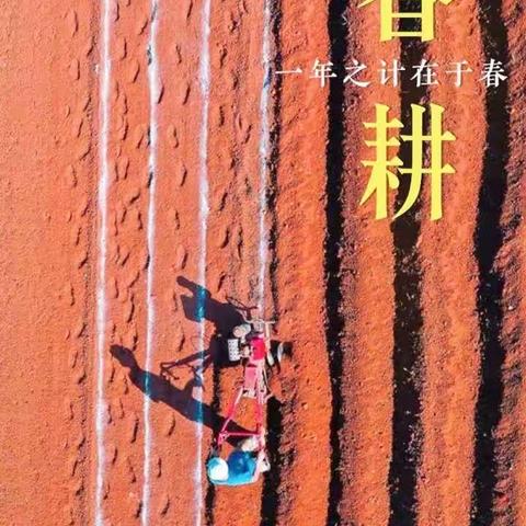 【定襄二中学子这样过五一】——定襄县第二中学校 初一273班张超2023年五一假期实践活动小记