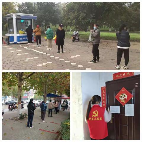 灈阳街道一周工作剪影（11.14-11.20）