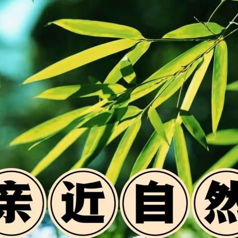你们负责快乐成长🌹，我负责记录纯真和美好💞