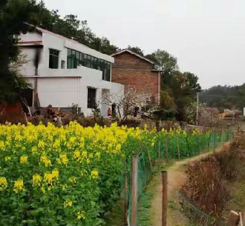 [实中·第三课堂]快乐充实过暑假 多彩生活助成长