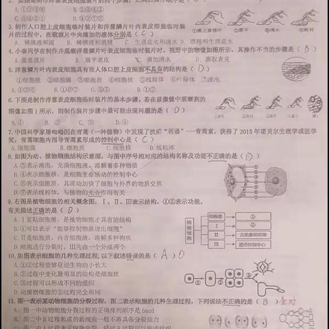 七年级六班二组生物作业