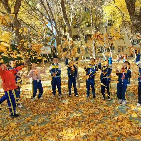 2023届11班学子双节拾贝集（原创好篇）