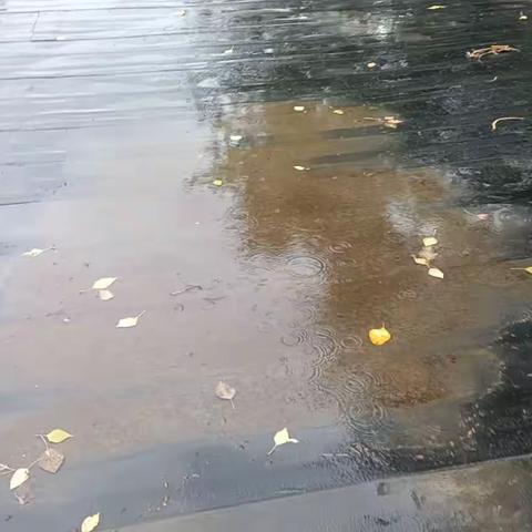 2023届学子原创录