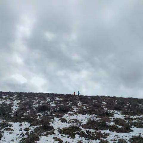 九（11）班学子原创文章集——《网课期间的那点事》系列二