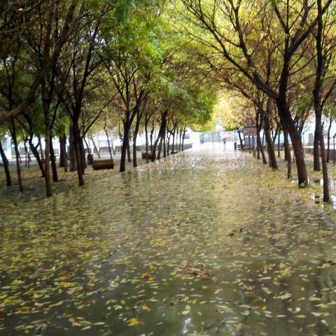 经典陪伴    静待花开——读经典，修德行