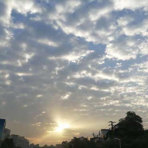 浅笑心柔的美篇