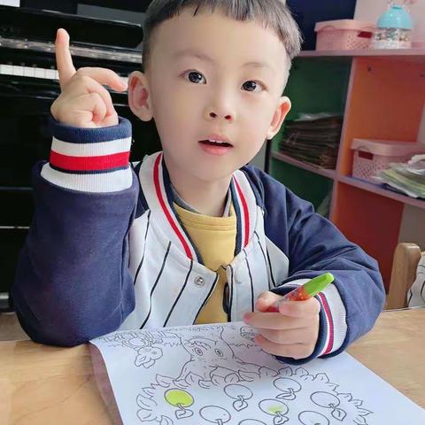 小黄鸡和小黑鸡