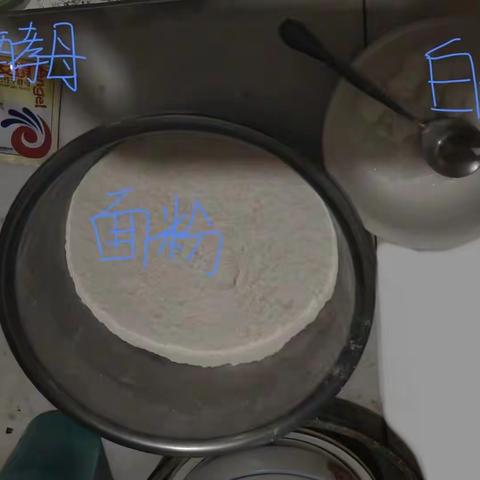 寒假生物实践作业：尝试酵母菌发面