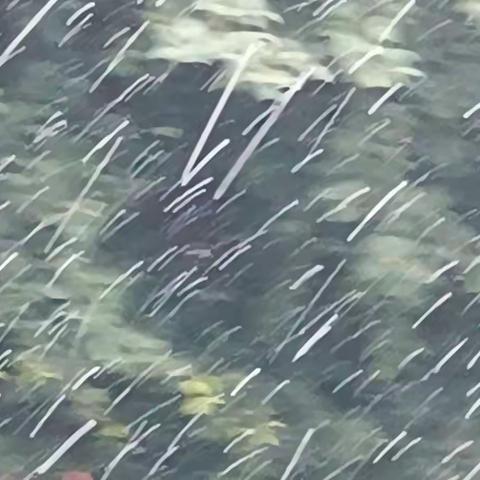 雪