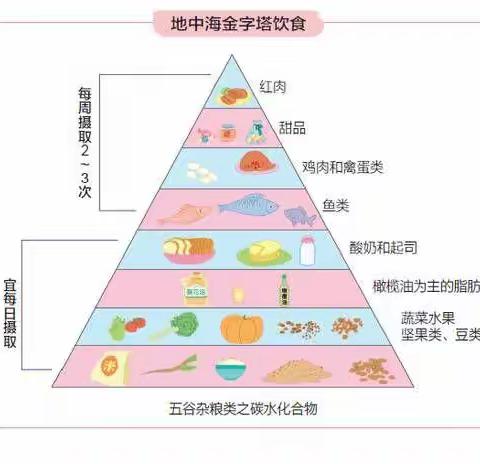 解析对帕金森患者的饮食方针