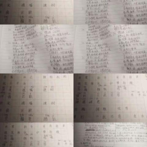 语文一二组作业：