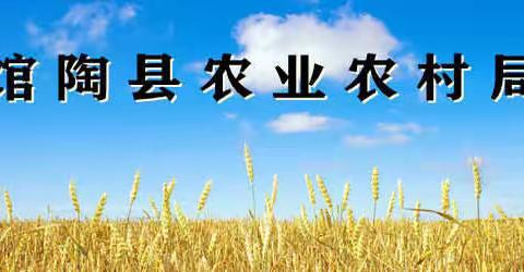 【馆陶县农业农村局】防汛抗洪  无惧风雨，我们在行动！