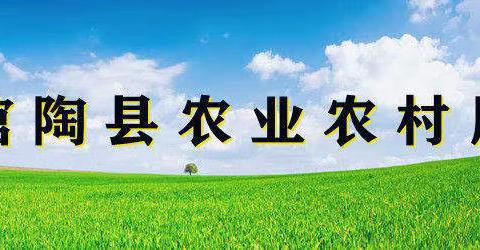 【馆陶县农业农村局】喜看麦田千层浪，又是一年丰收忙