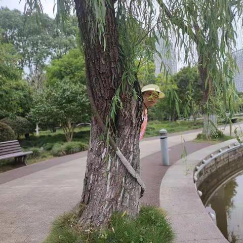 方寸间，阅遍万千