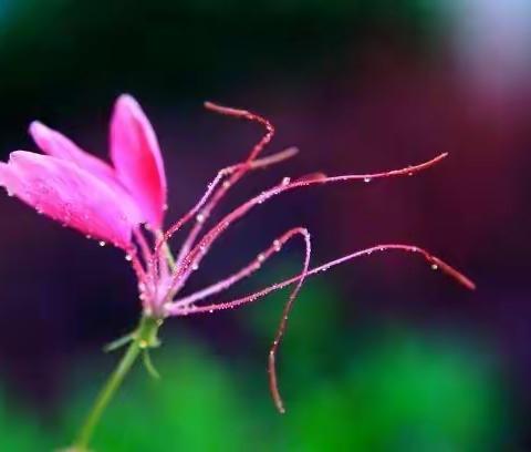 “倡导阅读，创建书香校园”