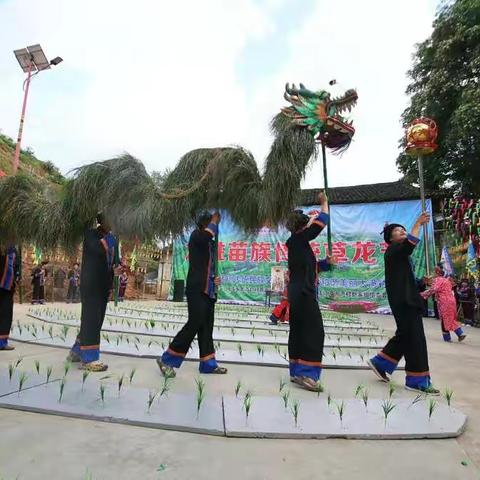 龙胜苗族草龙节掠影