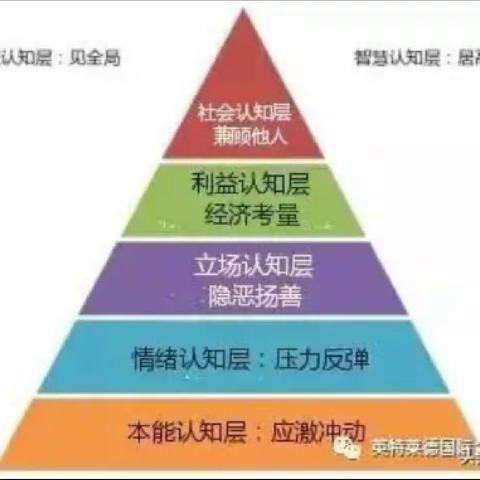 思维认知的七个层级：你的层次，决定你的命运