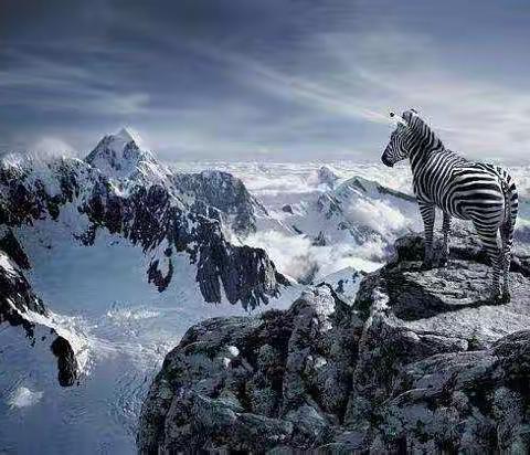 桂林：停息挂账中介协商技术教程