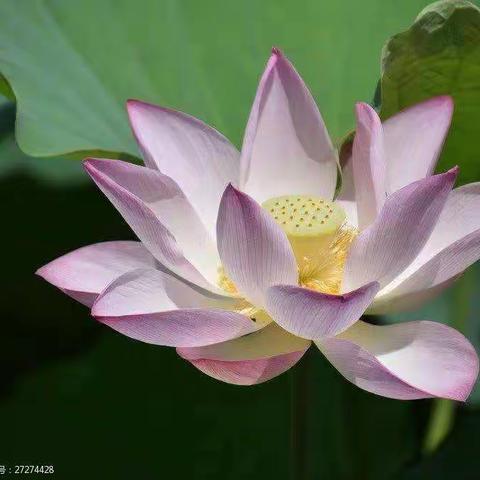 西安：申请停息挂账的操作流程及技巧