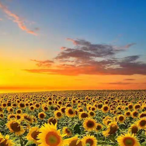 成都：申请停息挂账的操作流程及技巧干货