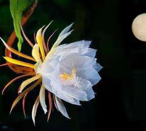 合肥：信用卡逾期协商个性化分期的有效操作