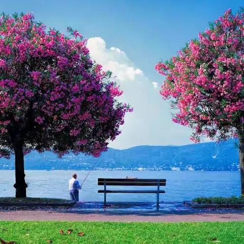 个性化分期协商话术技巧指导教程