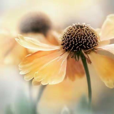 武汉：申请停息挂账的操作流程及技巧干货