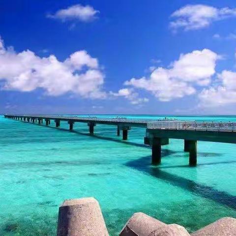 深圳：停息挂账技术协商方法步骤