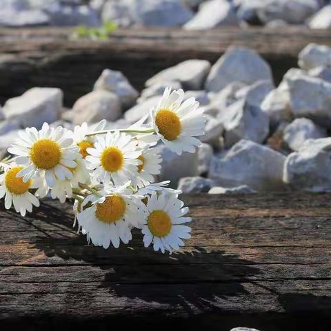 分享：协商个性化分期延期还款流程步骤