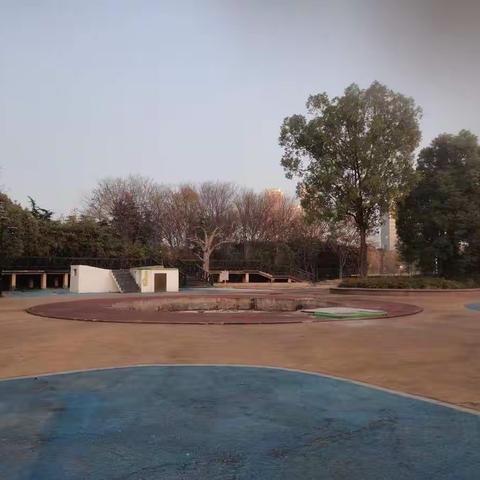 十二月走园——石湖滨湖小公园