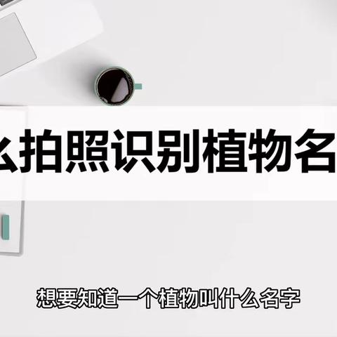 怎么拍照识别植物名称？分享两种识别植物名称方法