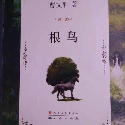“阅读 阅美”朝阳实验小学六年一班，柴思源家庭读书会之《根鸟》。