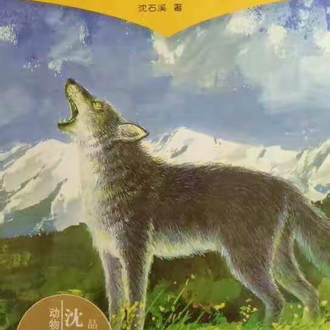 朝阳实验小学六年一班 张淞——署期阅读《狼王梦》